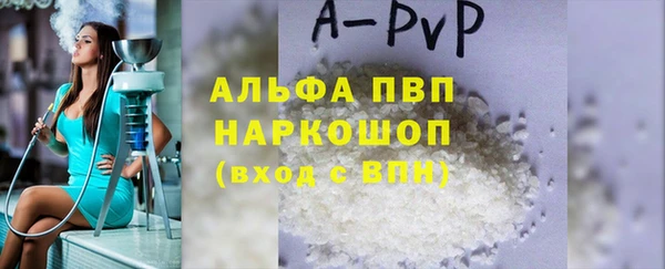 молекула духа Арсеньев