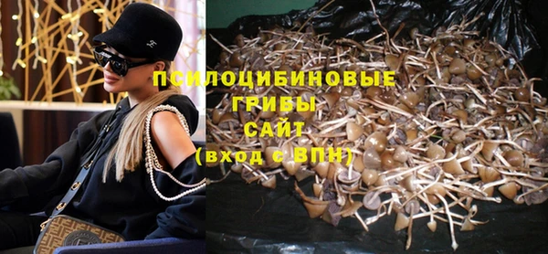 молекула духа Арсеньев