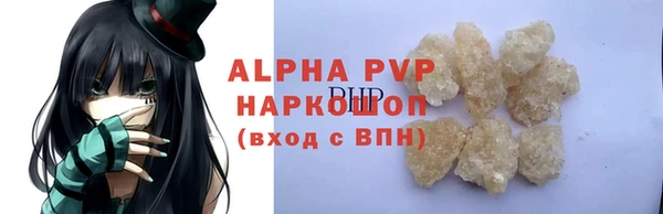 молекула духа Арсеньев