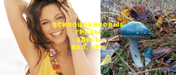 метадон Аркадак