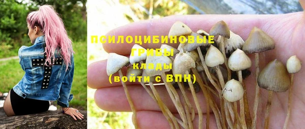 молекула духа Арсеньев