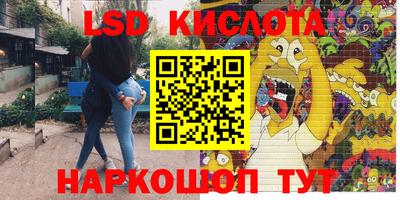 СК Краснодар