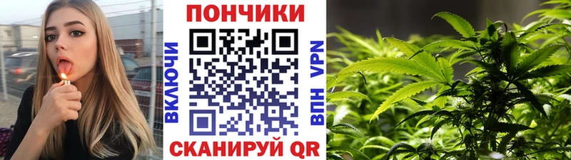 Шишки марихуана MAZAR  Кировск 